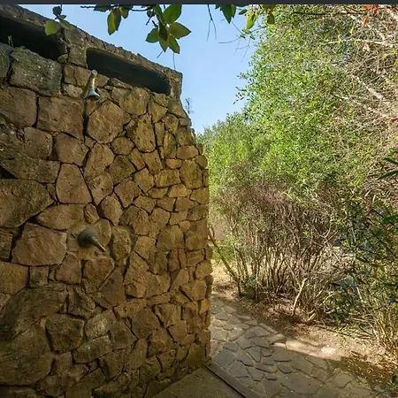 Leila فورت فيليدج